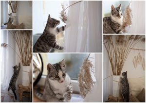 Lotti tstet meine Deko im Studio So kleine Hände