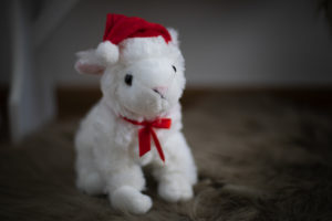 Lambert das Weihnachtslamm